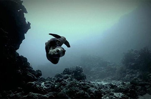 Mermaids