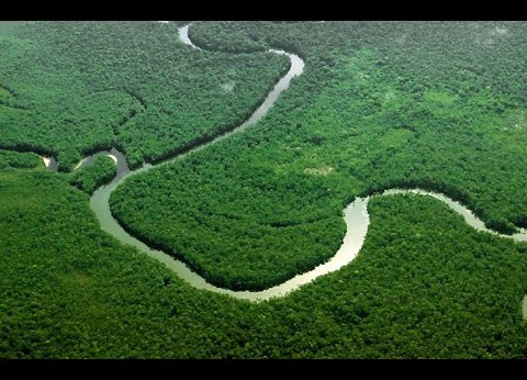 Evidenţa unor oraşe gigantice în Amazonia
