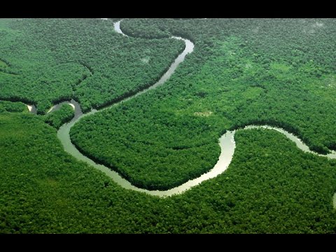 Evidenţa unor oraşe gigantice în Amazonia