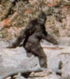 Patterson–Gimlin_film_frame_352