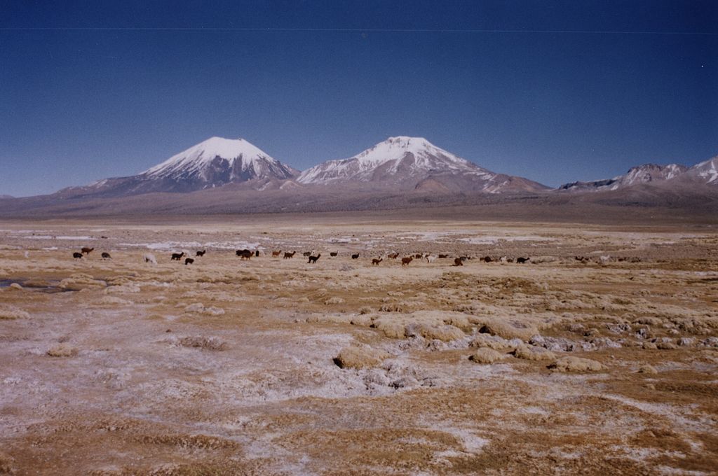 Parcul Sajama, Bolivia foto de Claire Pouteau sursa foto Wikipedia 