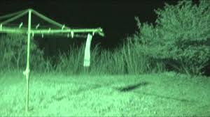 Extraterestru filmat în noapte cu infraroşu
