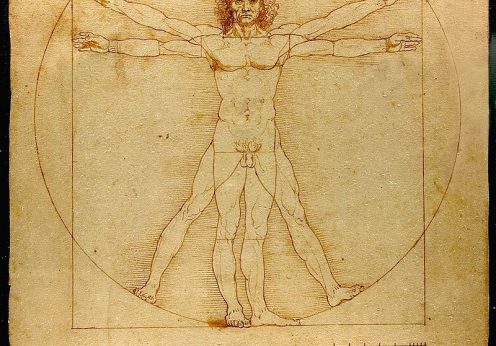 800px-Da_Vinci_Vitruve_Luc_Viatour