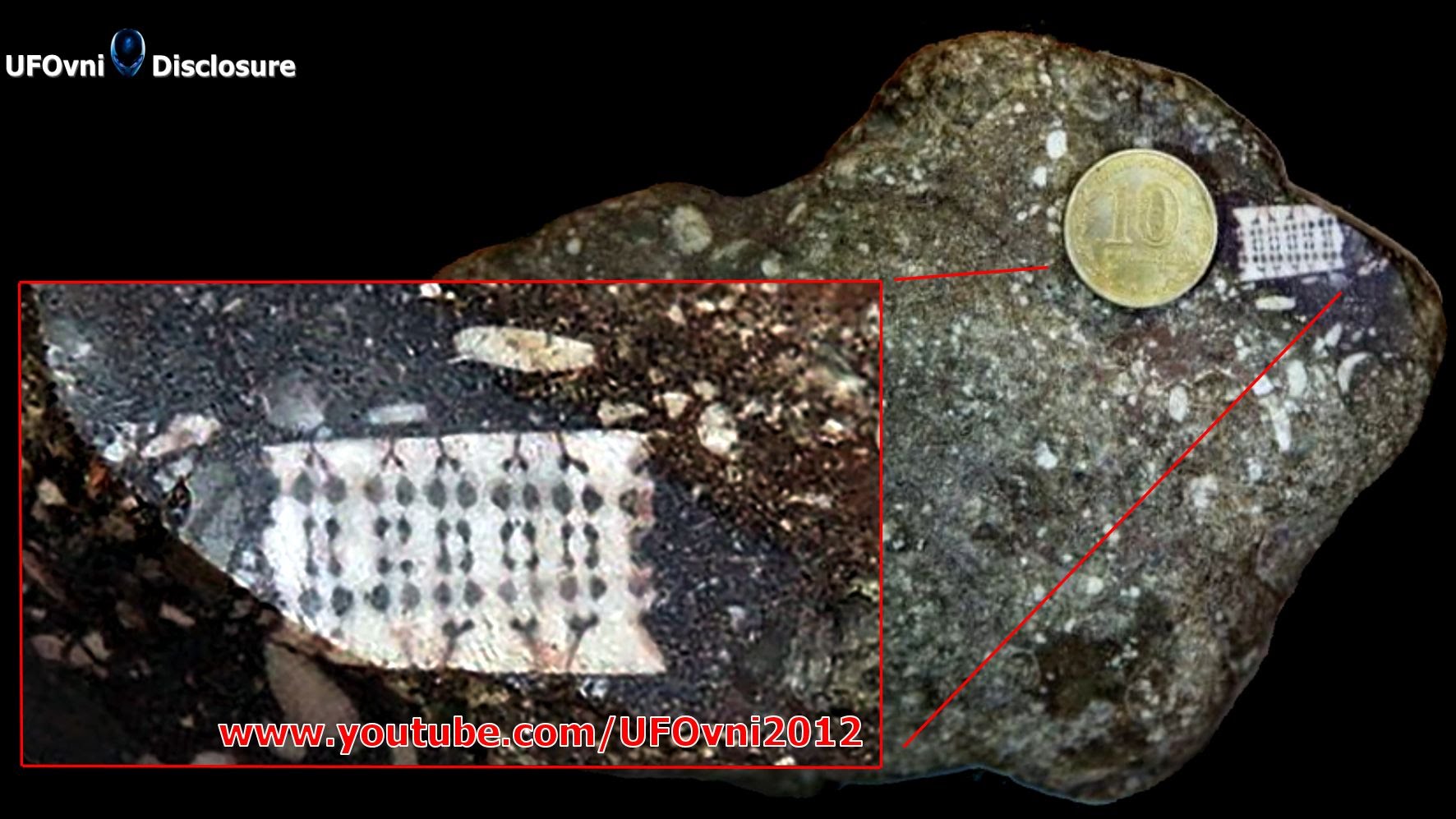 Descoperirea unui cip de acum 200 de milioane de ani