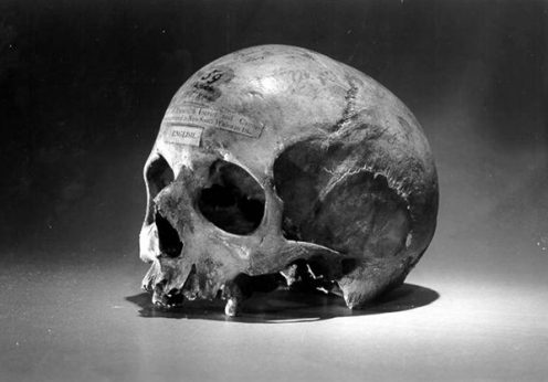skull_of_alexander_pearce