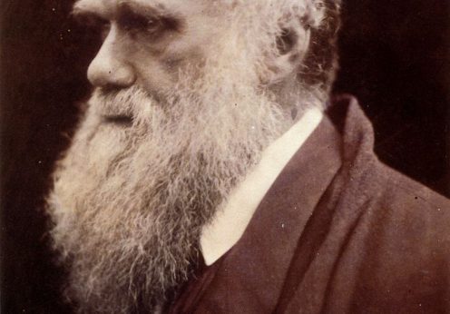 800px-Charles_Darwin_by_Julia_Margaret_Cameron_3