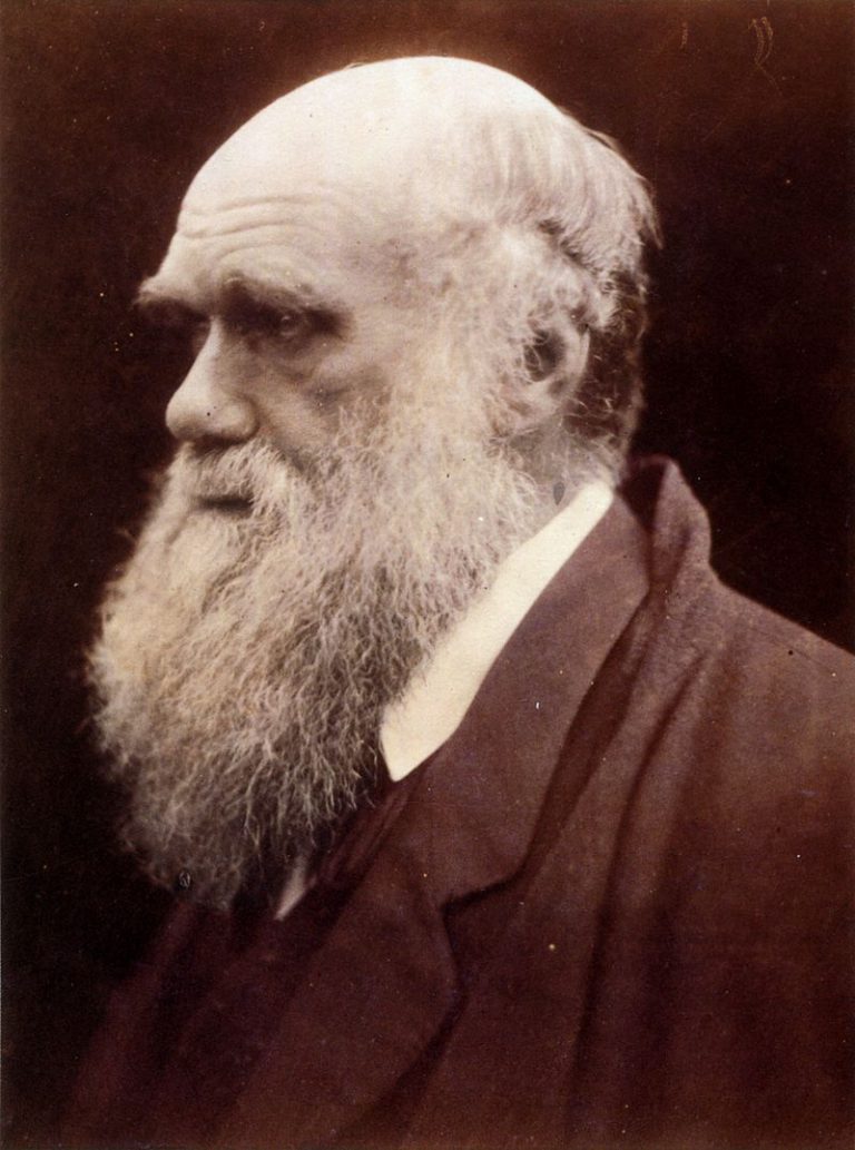 800px-Charles_Darwin_by_Julia_Margaret_Cameron_3