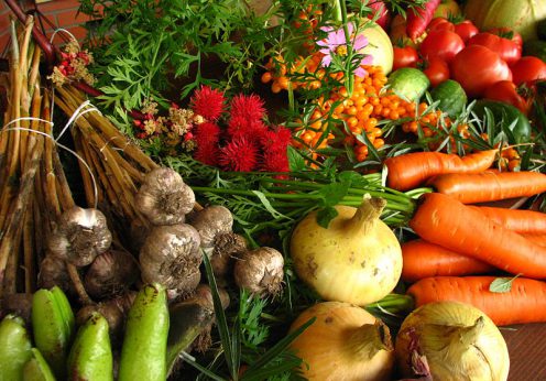 800px-Ecologically_grown_vegetables