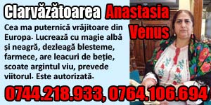 Banner 300x150 Clarvazatoarea Anastasia Venus ok555