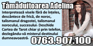 Banner 300x150 Tamaduitoarea Adelina