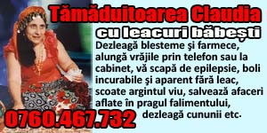 Banner 300x150 Tamaduitoarea Claudia