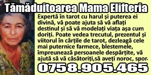 Banner 300x150 Tamaduitoarea Mama Elifteria