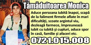 Banner 300x150 Tamaduitoarea Monica