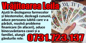 Banner 300x150 Vrajitoarea Leila