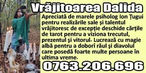 Dalida banner c386