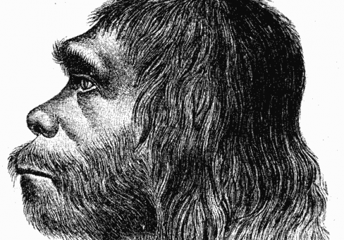 Neanderthaler_Fund