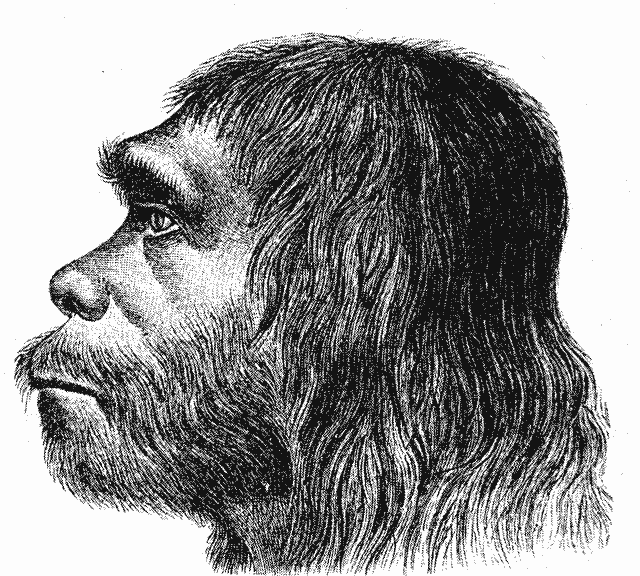 Neanderthaler_Fund