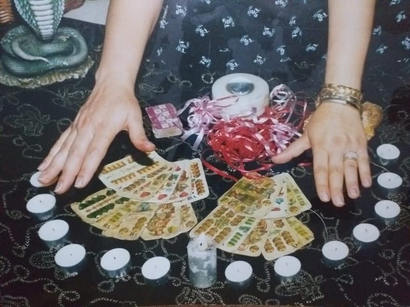 tamaduitoarea Claudia 2