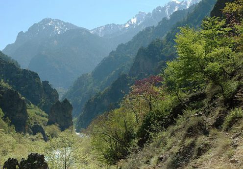 vikos aoos-gorge